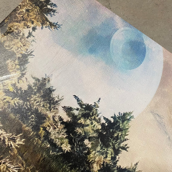 THE LONELY STROMTROOPER (print)