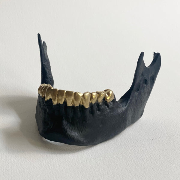 JAW$ CARD HOLDER
