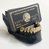 JAW$ CARD HOLDER